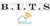 Branham IT Solutions, LLC