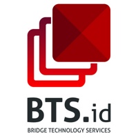 Bridge Technology Services