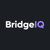 BridgeIQ