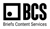 Briefs Content Services