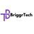 Briggr Technologies LTD