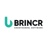 Brincr