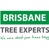 Brisbane Tree Experts