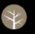 Bristlecone Advisors