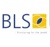 Brussels Language Services