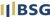 BSG Advisory