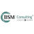 BSM Consulting