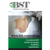 BST Global Consulting