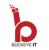 Buckeye I.T. Services, LLC.