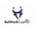 BullMark Capital, Inc.