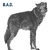 Business Application Developers (B.A.D)