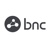 Business Network Consulting