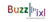 BuzzPixl
