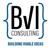 BVI Consulting