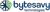 Bytesavy Technologies