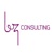 BZ Consulting