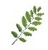 C Pope & Associates