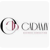 Cadamy Business Consulting