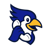 CallBird