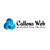 Callous Web Private Limited