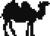 CamelWeb