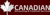 Canadian Accounting & Financial Services