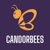 Candorbees Technologies Private Limited