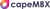 capeMBX Consulting