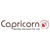 Capricorn Identity Services Pvt. Ltd.