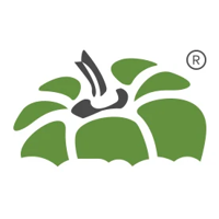 Capsicum Mediaworks - SEO Company In India