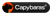 Capybaras Agency