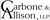 Carbone & Allison, LLP - CPAs