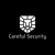 Careful Security