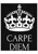 Carpe Diem Teams