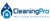 Carpet Cleaning Pro