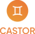 Castor Development Outsourcing