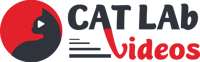 Catlab Video Production Agency