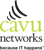 Cavu Networks