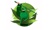 CBD Marketing Agency