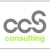 CCS Consulting
