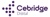 Cebridge Digital