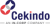 Cekindo Business International