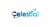 Celestial It Verse Pvt Ltd