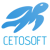 Cetosoft Infotech Pvt Ltd