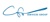 CFO Services Group