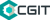 CGIT LLC