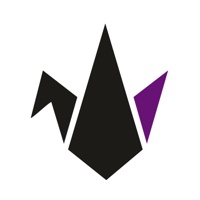 CHETINKAYA Brand Design