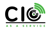 CIO as a Service