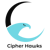 Cipher Hawks Pvt. Ltd.