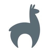Classy Llama